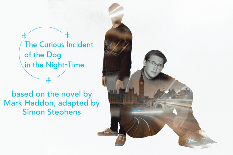 The Curious Incident of the Dog in the Night-Time